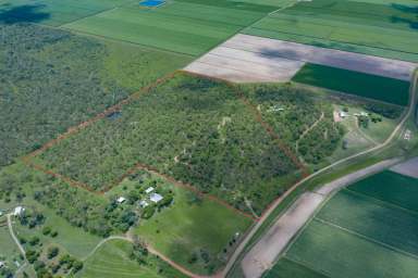 Farm Sold - QLD - Thoopara - 4800 - Seller Finalising Estate  (Image 2)