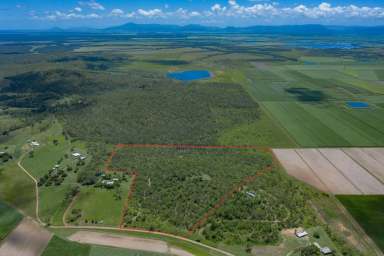 Farm Sold - QLD - Thoopara - 4800 - Seller Finalising Estate  (Image 2)