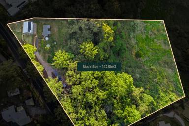 Farm Sold - QLD - Rosemount - 4560 - Secluded Serenity Meets Sustainable Living!  (Image 2)