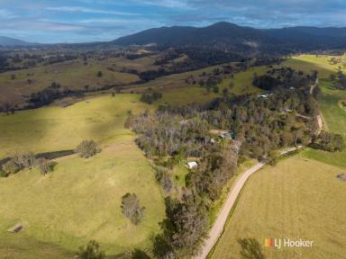Farm Sold - NSW - Cobargo - 2550 - ENDLESS POSSIBILITIES IN COBARGO  (Image 2)