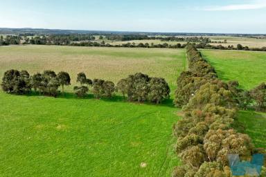 Farm Sold - VIC - Hillside - 3875 - Ultimate Country Lifestyle  (Image 2)