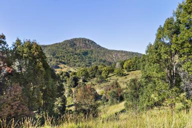 Farm For Sale - NSW - Byangum - 2484 - BYANGUM BEAUTY - SOON TO BE RELEASED ! UNCOVER RURAL BLISS ACREAGE IN TWEED SHIRE  (Image 2)