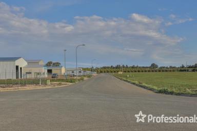 Farm Sold - NSW - Buronga - 2739 - Industrial Allotment in Buronga  (Image 2)