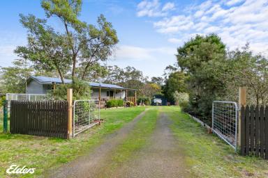 Farm Sold - VIC - Woodside - 3874 - COUNTRY LIVING NEAR THE COAST  (Image 2)