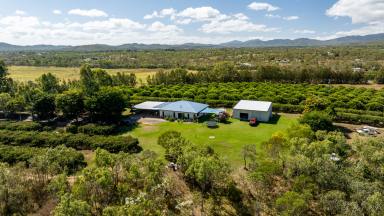 Farm For Sale - QLD - Mareeba - 4880 - BE YOUR OWN BOSS WITH THE BEST VIEWS IN MAREEBA  (Image 2)