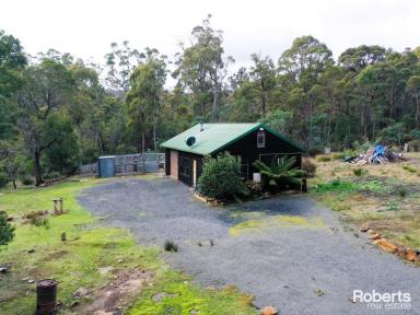 Farm Sold - TAS - Turners Marsh - 7267 - Bush Block on near 40 Acres of Land (Now Under Contract)  (Image 2)