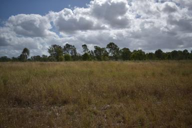 Farm For Sale - QLD - Drinan - 4671 - Discover Your Perfect 25-Acre Haven Just a Short drive from Town  (Image 2)