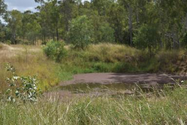 Farm For Sale - QLD - Drinan - 4671 - Discover Your Perfect 25-Acre Haven Just a Short drive from Town  (Image 2)
