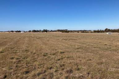 Farm Sold - WA - Broomehill Village - 6318 - 13 acres of Quiet in the Country  (Image 2)