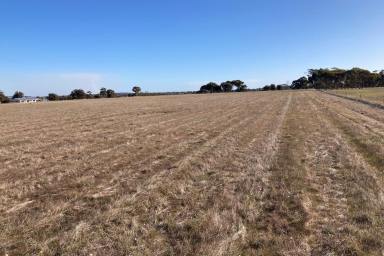 Farm Sold - WA - Broomehill Village - 6318 - 13 acres of Quiet in the Country  (Image 2)