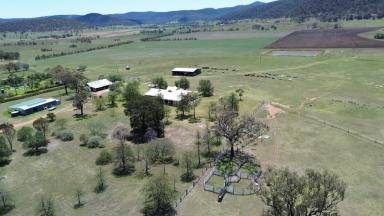 Farm Sold - nsw - Muswellbrook - 2333 - Permanent Creek Frontage  (Image 2)