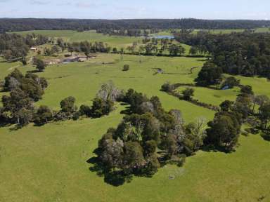 Farm For Sale - TAS - Rocky Cape - 7321 - Hook Creek Farm - 106 Acres  (Image 2)