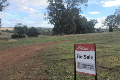 Farm Sold - WA - Catterick - 6255 - Acres of Space!  (Image 2)