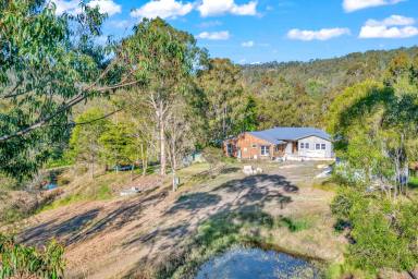 Farm Sold - NSW - Martins Creek - 2420 - Dream Home In It's Final Stages  (Image 2)