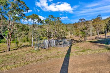 Farm Sold - NSW - Martins Creek - 2420 - Dream Home In It's Final Stages  (Image 2)