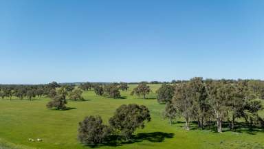 Farm For Sale - WA - Mindarra - 6503 - "Expansive 300 Acres with a Charming Residence"  (Image 2)