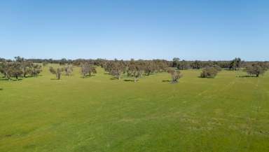 Farm For Sale - WA - Mindarra - 6503 - "Expansive 300 Acres with a Charming Residence"  (Image 2)