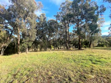 Farm Sold - NSW - Yetholme - 2795 - Village Living Opportunity  (Image 2)