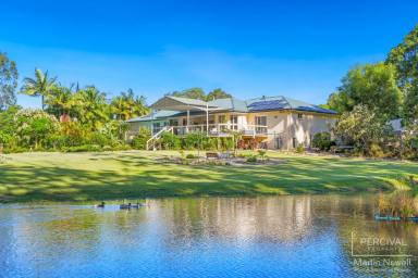 Farm Sold - NSW - King Creek - 2446 - For those who seek a Private Oasis – 'Tumblegum'  (Image 2)