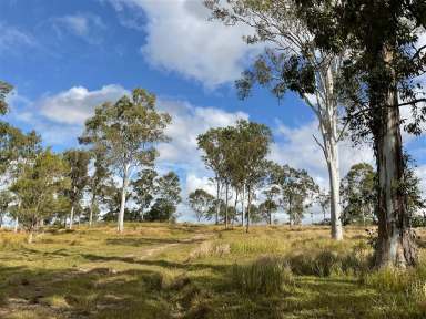 Farm Sold - QLD - The Dawn - 4570 - Rare Private Land in Prestigous Area  (Image 2)