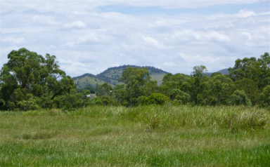 Farm For Sale - QLD - The Dawn - 4570 - Rare Private Land in Prestigous Area  (Image 2)