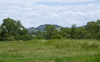 Farm Sold - QLD - The Dawn - 4570 - Rare Private Land in Prestigous Area  (Image 2)