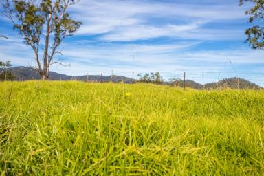 Farm Sold - NSW - Number One - 2424 - Large Scale, Eastern Fall Grazing  (Image 2)