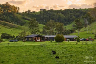Farm Sold - NSW - Lower Pappinbarra - 2446 - 'Cornlea Farm' – Lower Pappinbarra – 43.17ha / 106.67 acres  (Image 2)