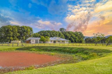 Farm For Sale - NSW - Turners Flat - 2440 - Highly Motivated Vendor - Riverfront Rural  (Image 2)