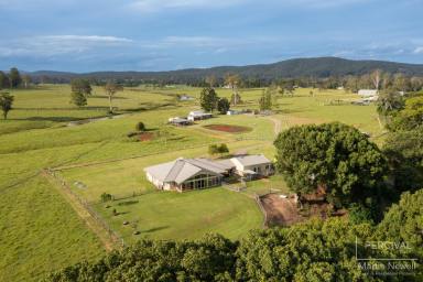 Farm For Sale - NSW - Turners Flat - 2440 - Highly Motivated Vendor - Riverfront Rural  (Image 2)
