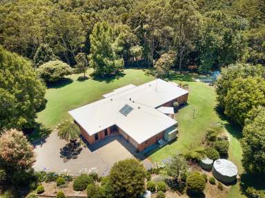 Farm Sold - QLD - Reesville - 4552 - SOLD BY JESS LUTHJE  (Image 2)