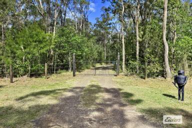 Farm Sold - QLD - Howard - 4659 - YOUR OWN PRIVATE OASIS ON 6.85 ACRES!  (Image 2)