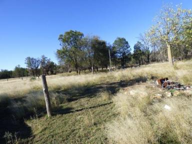 Farm Sold - QLD - Wieambilla - 4413 - Great reno job to make it your own  (Image 2)