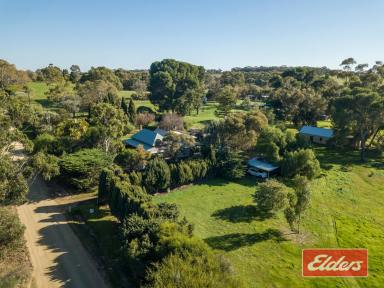 Farm Sold - SA - Lyndoch - 5351 - UNDER CONTRACT BY JEFF LIND  (Image 2)