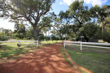 Farm Sold - WA - Myalup - 6220 - Tranquility Assured!  (Image 2)