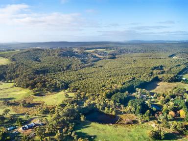 Farm For Sale - VIC - Rocklyn - 3364 - 139.16HA (343.89 Acres) - Forestry Asset Selling Post Harvest  (Image 2)