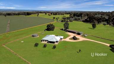 Farm Sold - NSW - Inverell - 2360 - SOLD BY LJ HOOKER INVERELL  (Image 2)