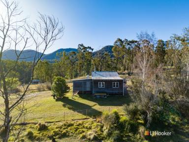 Farm For Sale - NSW - Bemboka - 2550 - LUXURY RURAL RETREAT  (Image 2)