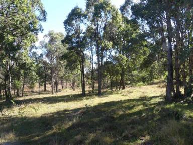 Farm Sold - QLD - Sugarloaf - 4380 - Very rare rural property close to Storm King Dam  (Image 2)