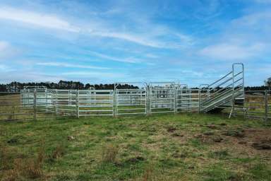 Farm Sold - NSW - Canyonleigh - 2577 - Prime 100 acres with Scenic Landscape & Elevated Views  (Image 2)