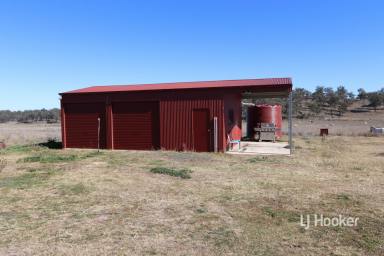 Farm Sold - NSW - Swanbrook - 2360 - SOLD BY LJ HOOKER INVERELL  (Image 2)