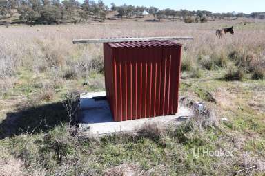 Farm Sold - NSW - Swanbrook - 2360 - SOLD BY LJ HOOKER INVERELL  (Image 2)