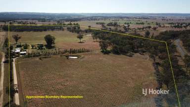 Farm Sold - NSW - Inverell - 2360 - SOLD BY LJ HOOKER INVERELL  (Image 2)