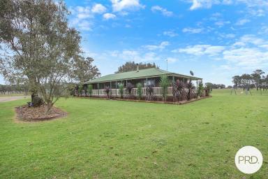 Farm Sold - NSW - Burrumbuttock - 2642 - YOUR NEW LIFESTYLE AWAITS  (Image 2)