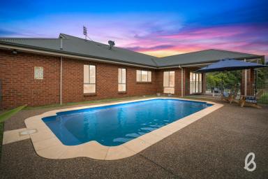 Farm Sold - NSW - Singleton - 2330 - Beautiful family home at The Retreat!  (Image 2)