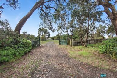 Farm For Sale - VIC - Heathcote - 3523 - ONLY MINUTES TO TOWN  (Image 2)