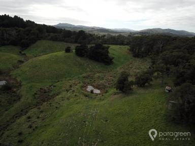 Farm For Sale - VIC - Foster - 3960 - WEEKENDER BLOCK CLOSE TO TOWN  (Image 2)