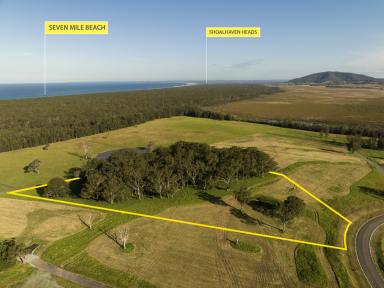 Farm Auction - NSW - Berry - 2535 - 10 Acres Just Minutes to the Beach  (Image 2)