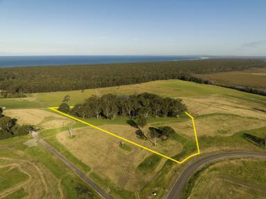 Farm Auction - NSW - Berry - 2535 - 10 Acres Just Minutes to the Beach  (Image 2)