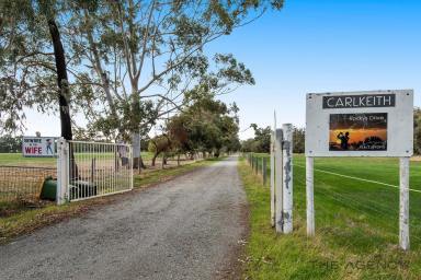 Farm Sold - WA - North Dandalup - 6207 - Calling All Horse Lovers: Embrace Your Equestrian Dream!  (Image 2)